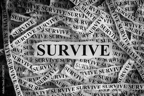 Survive. Torn pieces of paper with the word Survive