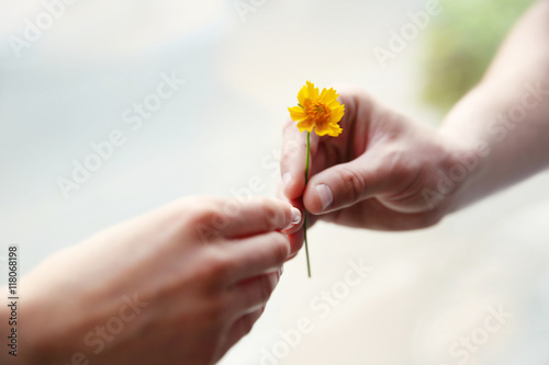 Flower and human hands on blurred background photo