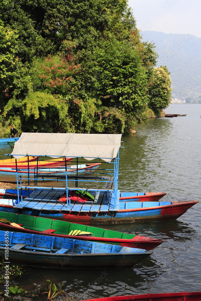 Rowboats at the Phewa lake