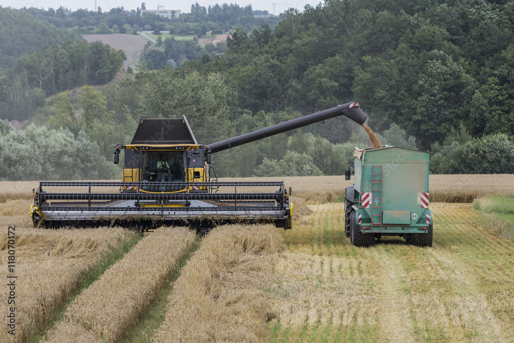 Fototapeta premium harvest - harvesters and tractors