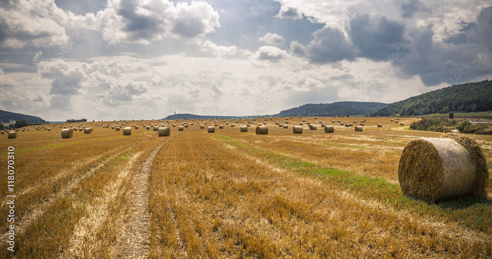 Fototapeta premium harvest time - straw bales in a field