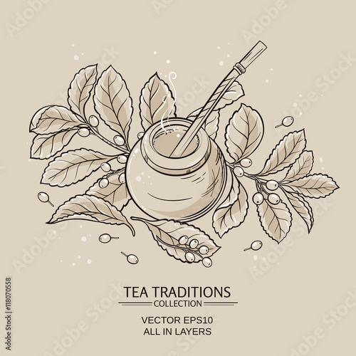mate tea in calabash and bombilla and "yerba mate" plant
