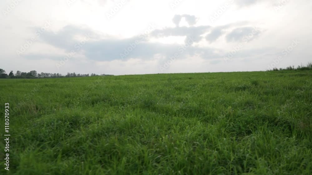 green field on the hills walk tracking shot green field on the hills walk tracking shot
