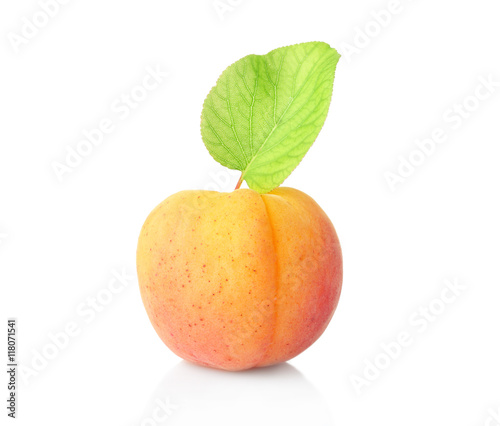 Fresh apricot, isolated on white