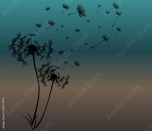 abstract card with dandelions vector background
