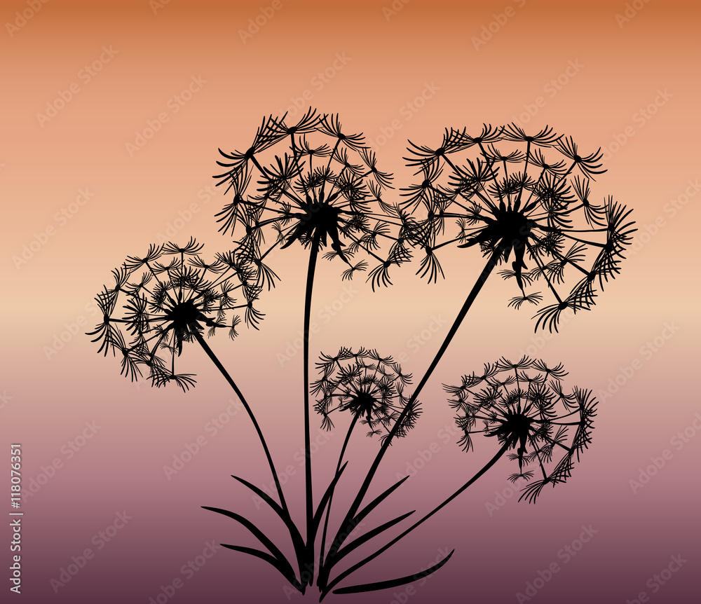 Obraz premium abstract card with dandelions vector background