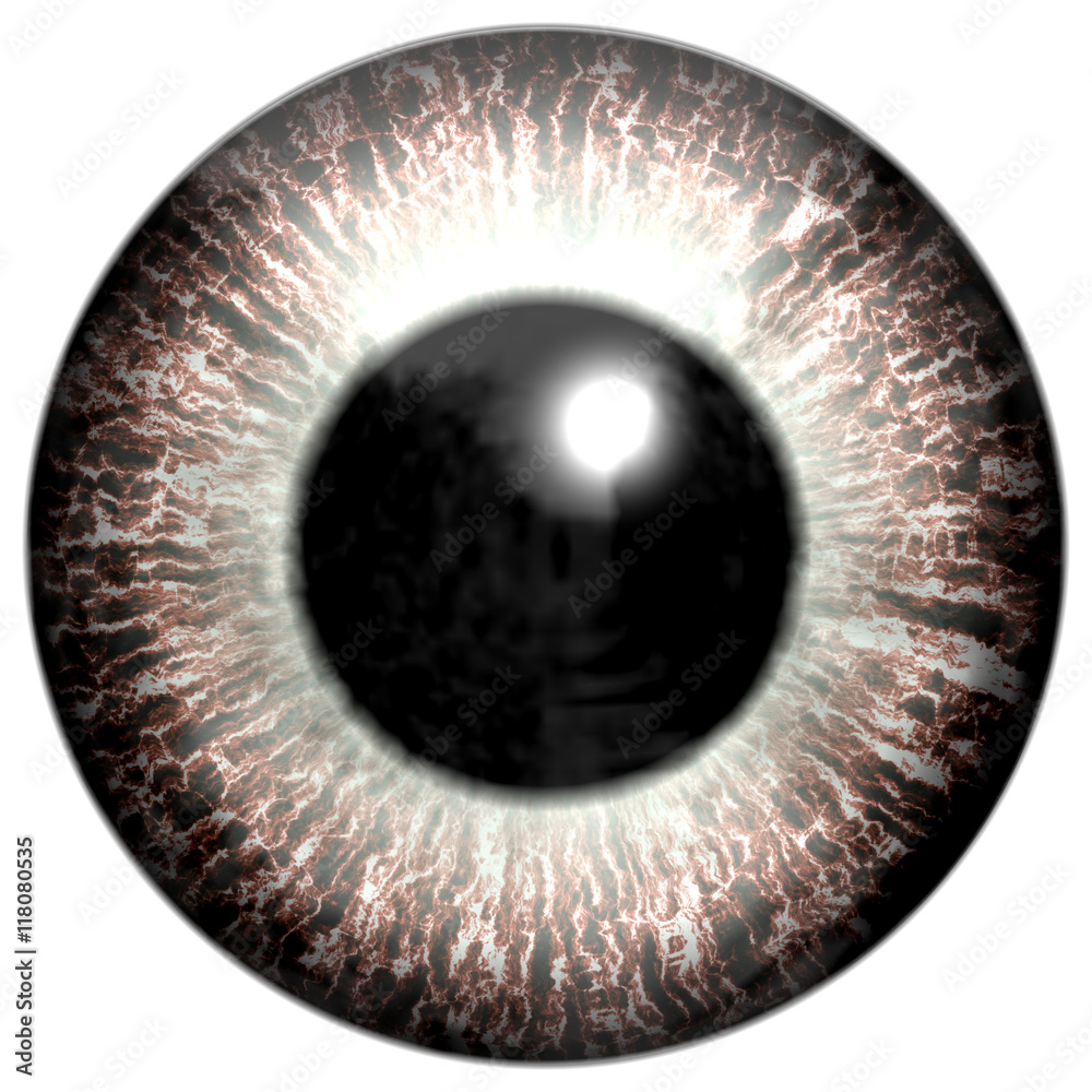 Eye iris generated hires texture Eye iris generated hires texture
