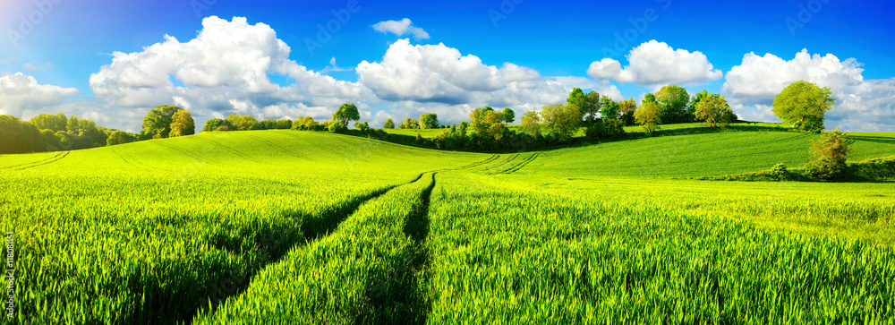 Fototapeta Wiejska idylla, panorama z szerokimi zielonymi łąkami i niebieskim niebem