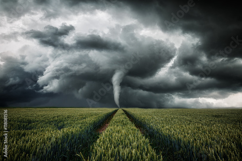 Photo Tornado wütet über eine Landschaft - Unwetter über Getreidefeld