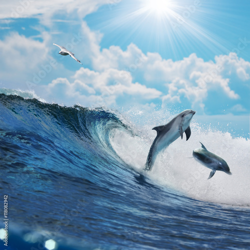 Two happy playful dolphins leaping from ocean breaking surfing wave to foam in front of cloudy seascape © willyam