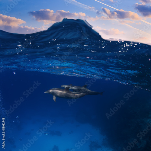 Submerged image splitted by waterline. A family of dolphins with a baby swimming underwater underneath of sea wave