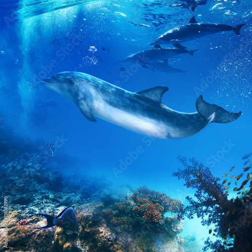 funny flipper posing underwater in front of dolphins family