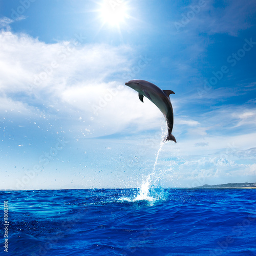 A wild dolphin jumped from shinig vibrant ocean water with beautiful seascape