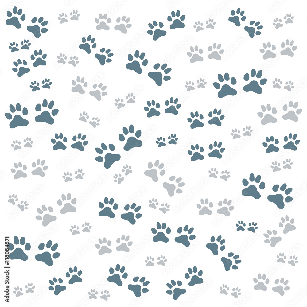 Nice picture of wild animal traces Nice picture of wild animal traces