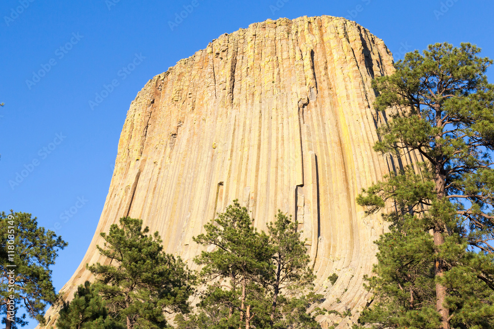 Obraz premium Devil's Tower, Wyoming