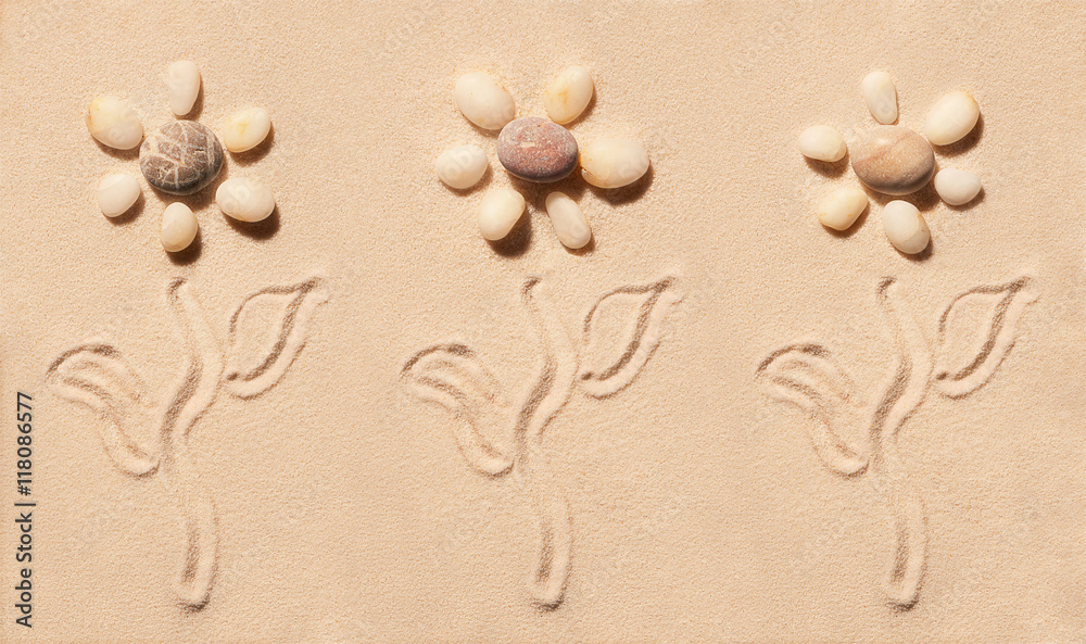Flowers of sea stones with stems and leaves on sand Flowers of sea stones with stems and leaves on sand