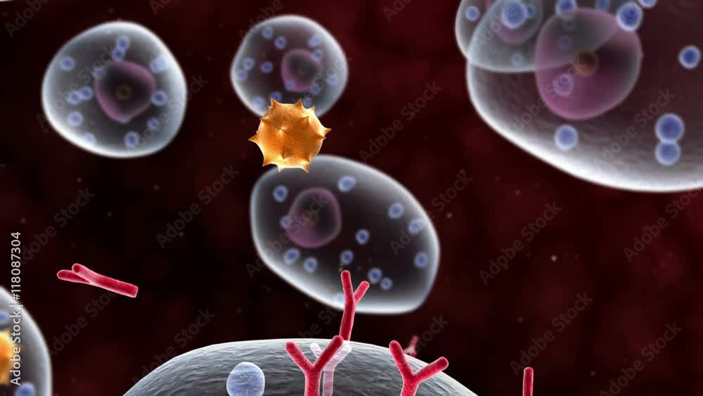 Mast cells releasing histamines after allergen attack.