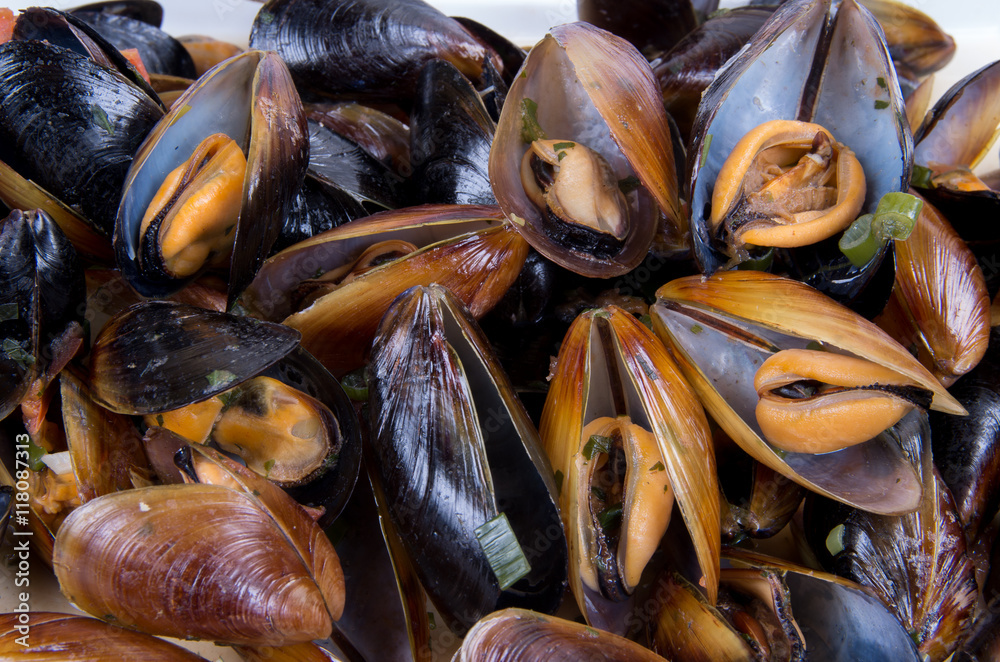 Sea gift. Portion of cooked mussels with white sauce. Sea gift. Portion of cooked mussels with white sauce.