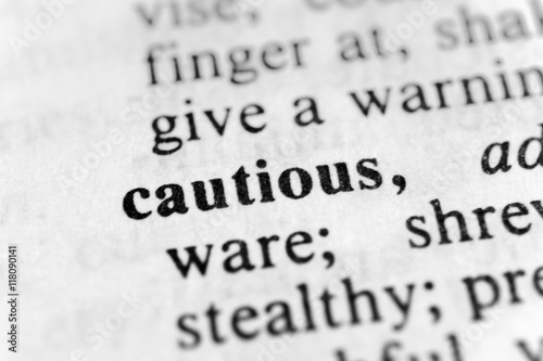 Slika na platnu Cautious