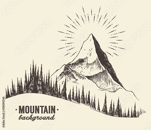 Sketch mountains fir forest sunset drawn vector.