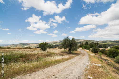 Country road in Troodos region of Cyprus