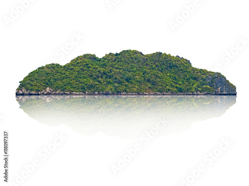 big stone moutain with green trees isolated