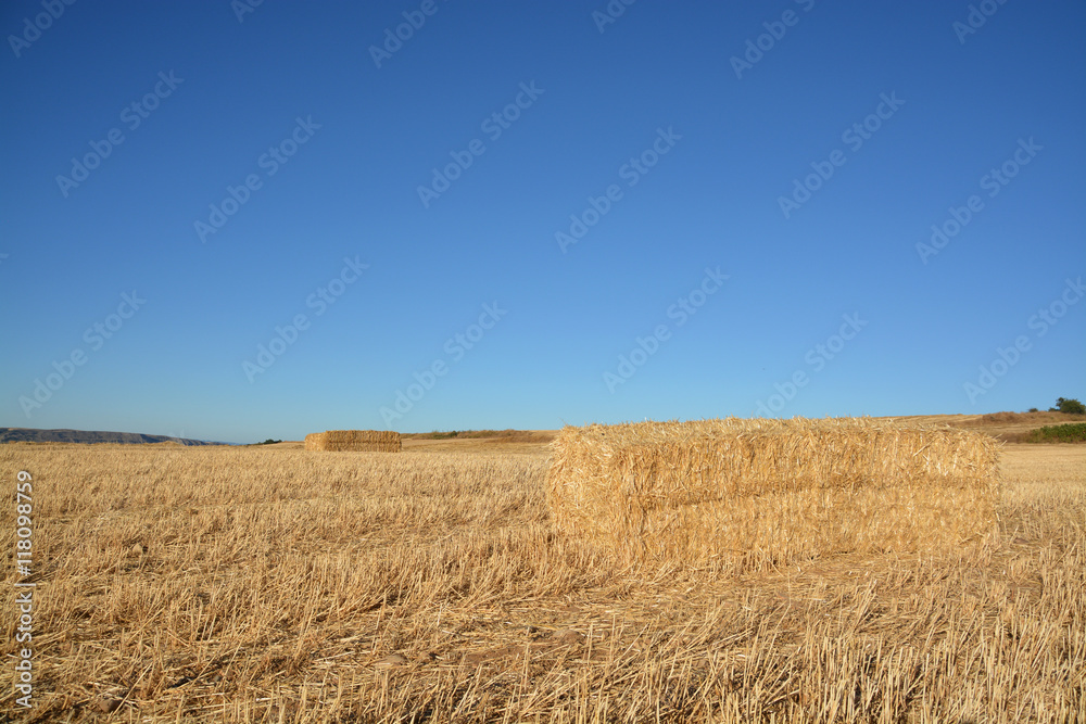 fardo de paja en un campo de cereales