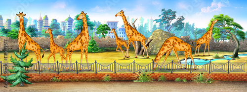 Giraffes in a Zoo full color illustration