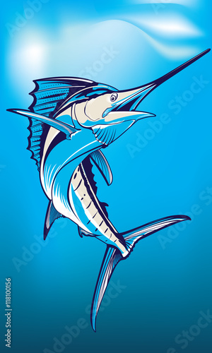 Swordfish vector drawing photo