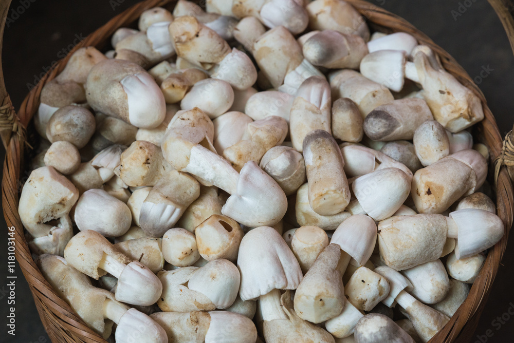 The rice straw mushroom for sell in the market The rice straw mushroom for sell in the market