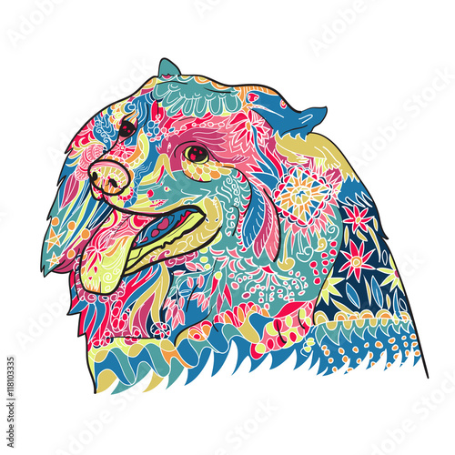 Line art and coloring of cute spritz dog on white