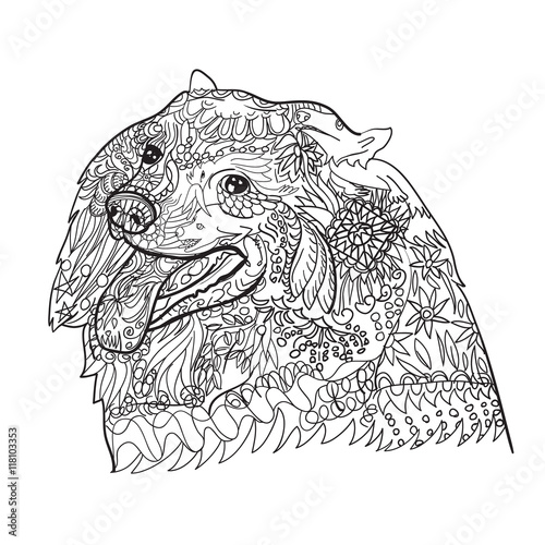 Line art of cute spritz dog with pattern for coloring on white b