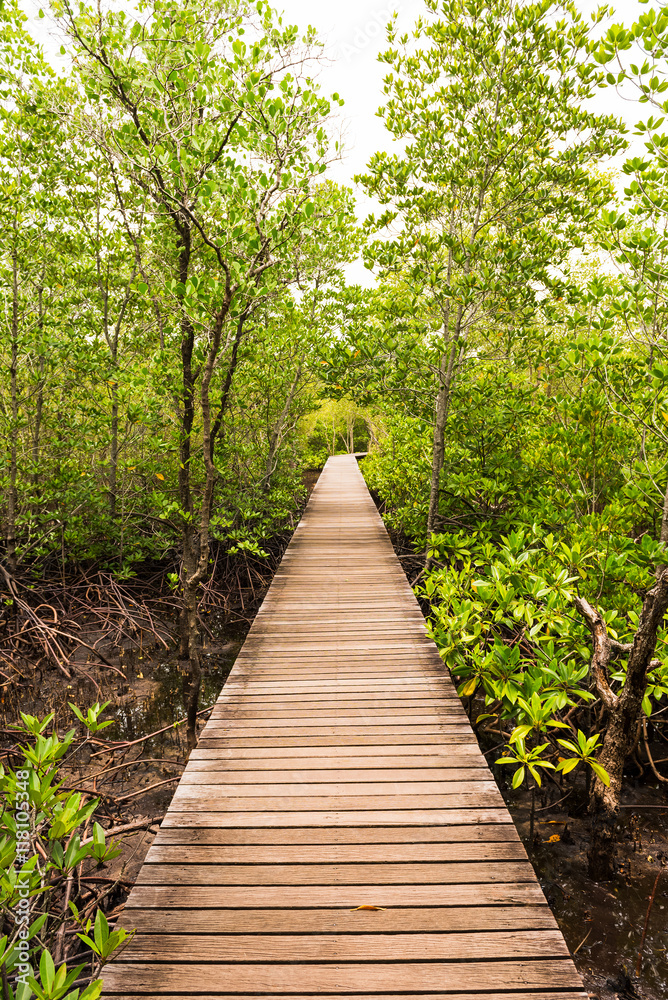 Obraz premium wooden Walkway, wooden bridge through mangrove forrest in Chantaburi province, Thailand