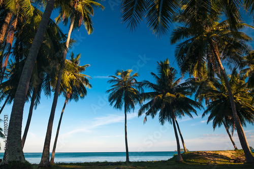 Silhouette coconut palm trees against blue sky with sun light. Summer sea beach concept