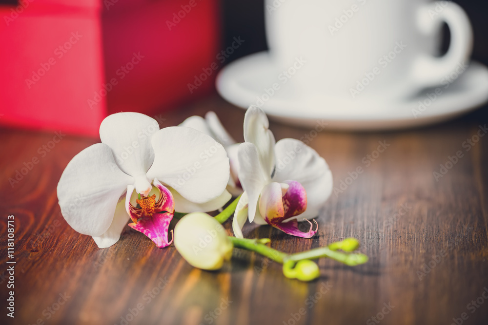 beautiful festive concept of greeting red box with bow, orchid f