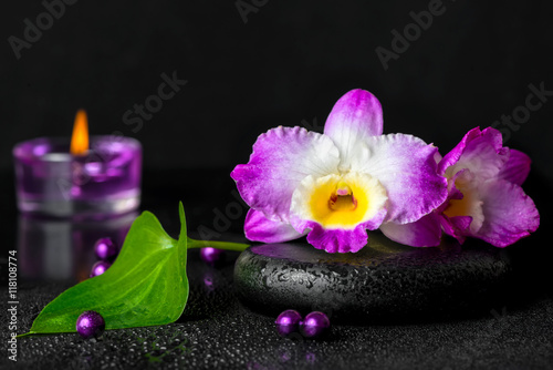 spa still life of purple orchid dendrobium with dew on black zen stone, green leaf, beads and lilac candles, close up