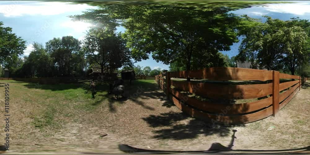 360Vr Video Man Tourist is Feeding a Sheep Goats Wooden Fence Old Village Rustic Houses Courtyard With Domestic Animals Green Trees Forest Grass Sunny 360Vr Video Man Tourist is Feeding a Sheep Goats Wooden Fence Old Village Rustic Houses Courtyard With Domestic Animals Green Trees Forest Grass Sunny