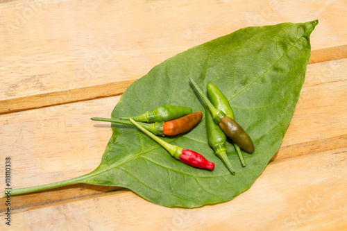 Obraz na plátně Hot chilli on wooden background