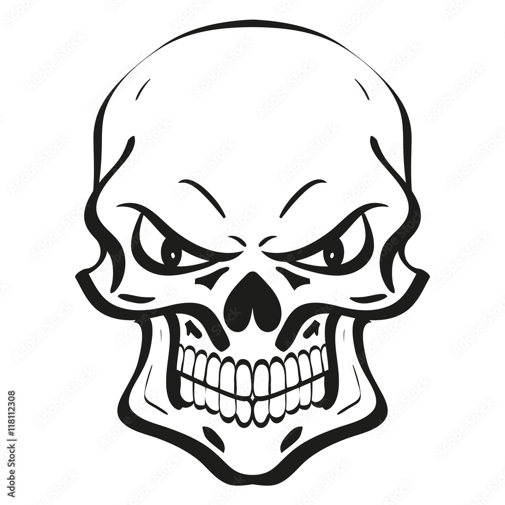 skull illustration skull illustration