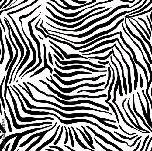 Fototapeta Naklejka Na Ścianę i Meble -  Structural zebra pattern