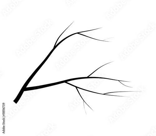 bare branch tree silhouette vector symbol icon design. Beautiful illustration isolated on white background