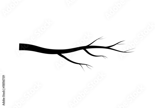 bare branch tree silhouette vector symbol icon design. Beautiful illustration isolated on white background