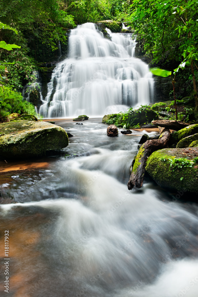 Obraz premium Waterfall in deep forest