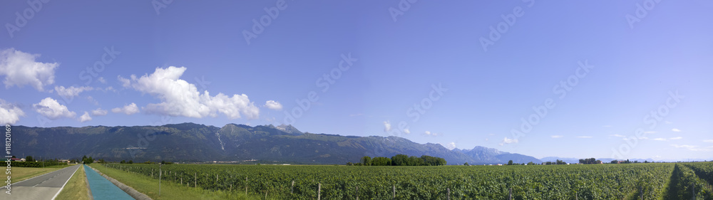 Forcate di Fontanafredda - panorama della pedemontana Forcate di Fontanafredda - panorama della pedemontana