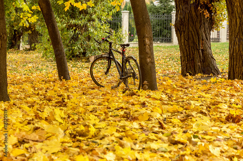 Girl cyclist rests on a bright autumn foliage under a tree next