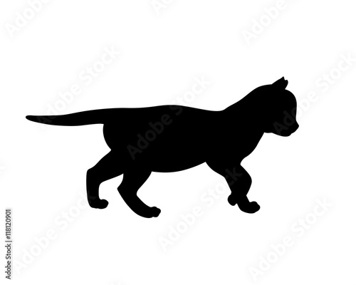 Kitten silhouette. Vector illustration