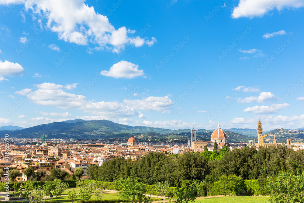 View of Florence with the mountains in the horizon