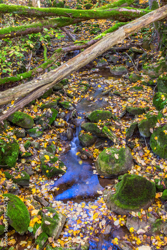 Fototapeta Naklejka Na Ścianę i Meble -  Creek with logs in autumn