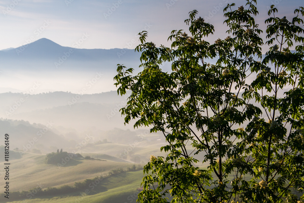 Guardistallo, Tuscany, Italy, landscape on the fog
