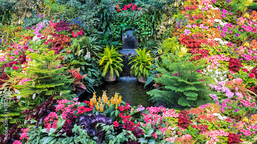 Fototapeta Naklejka Na Ścianę i Meble -  Colorful Flower Display in a Canadian Garden